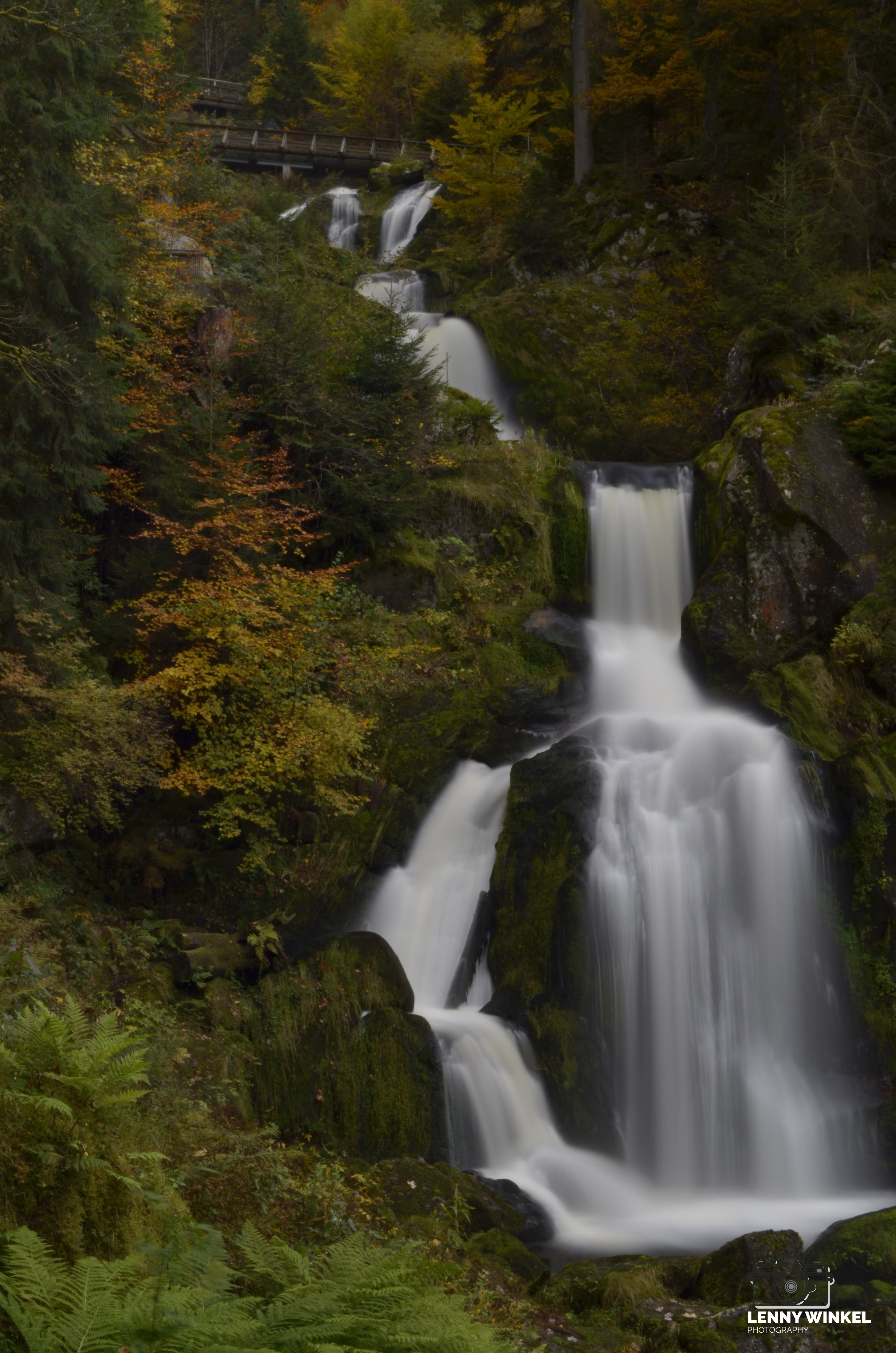 Foto des Monats - Milchstraße